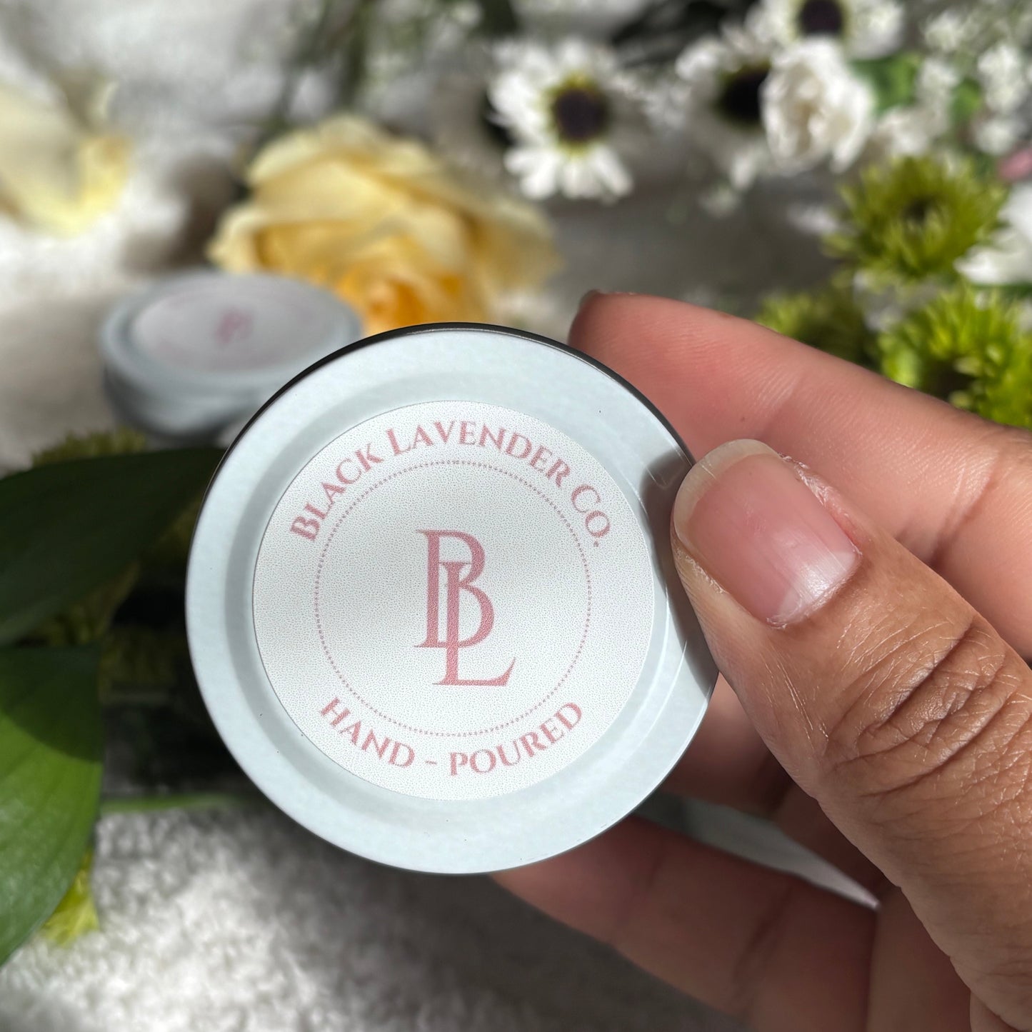 Spring Discovery Box Sampler Set