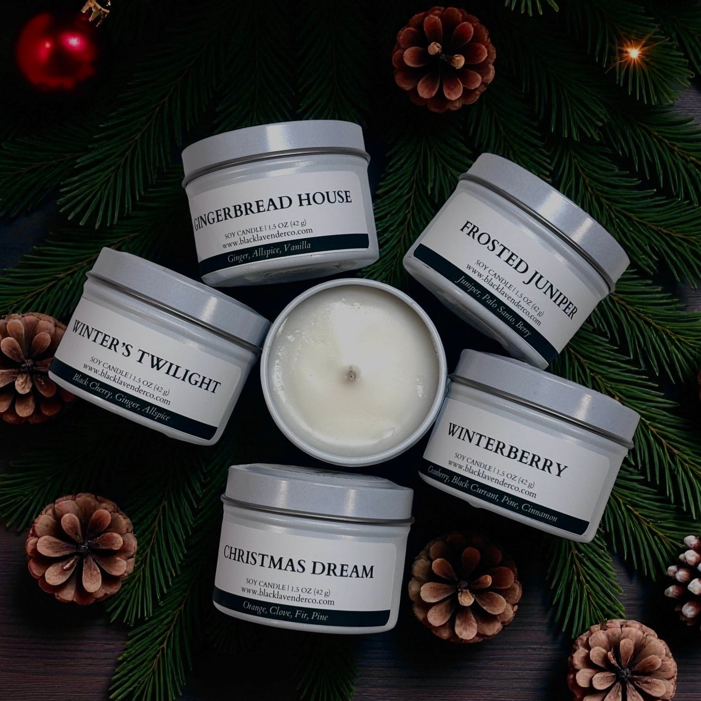 Holiday Discovery Box