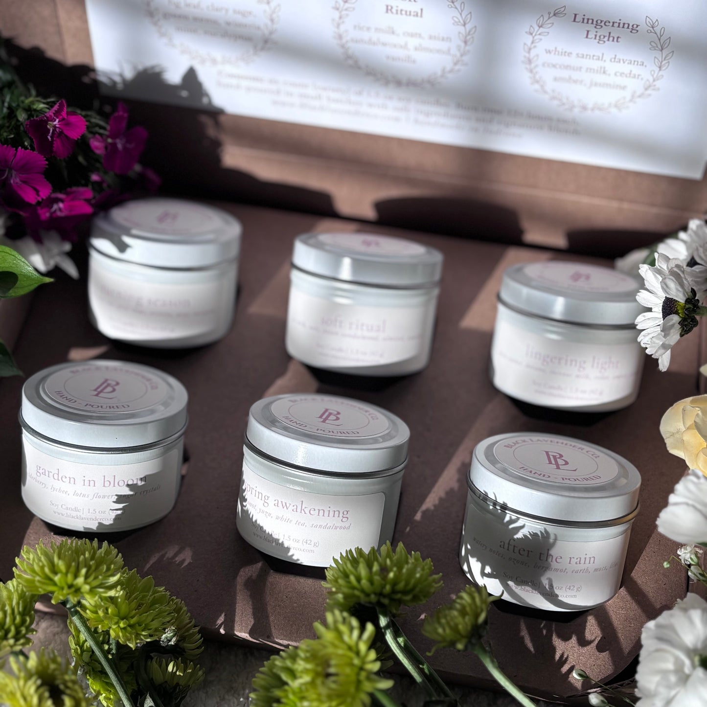 Spring Discovery Box Sampler Set