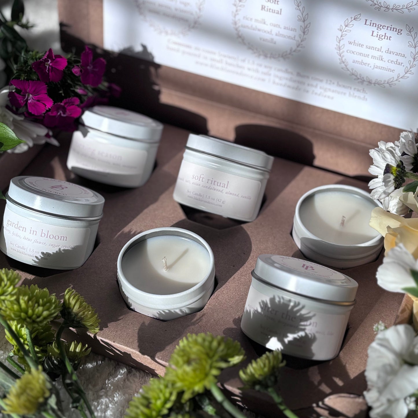 Spring Discovery Box Sampler Set