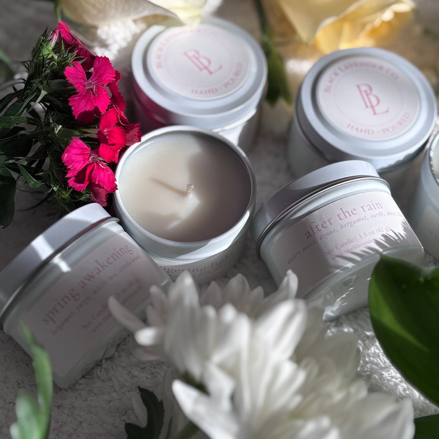 Spring Discovery Box Sampler Set