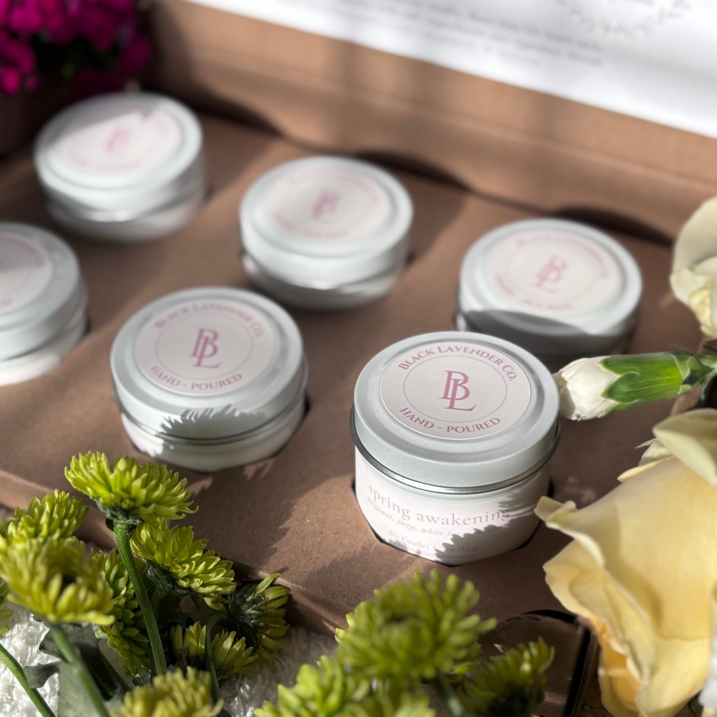 Spring Discovery Box Sampler Set