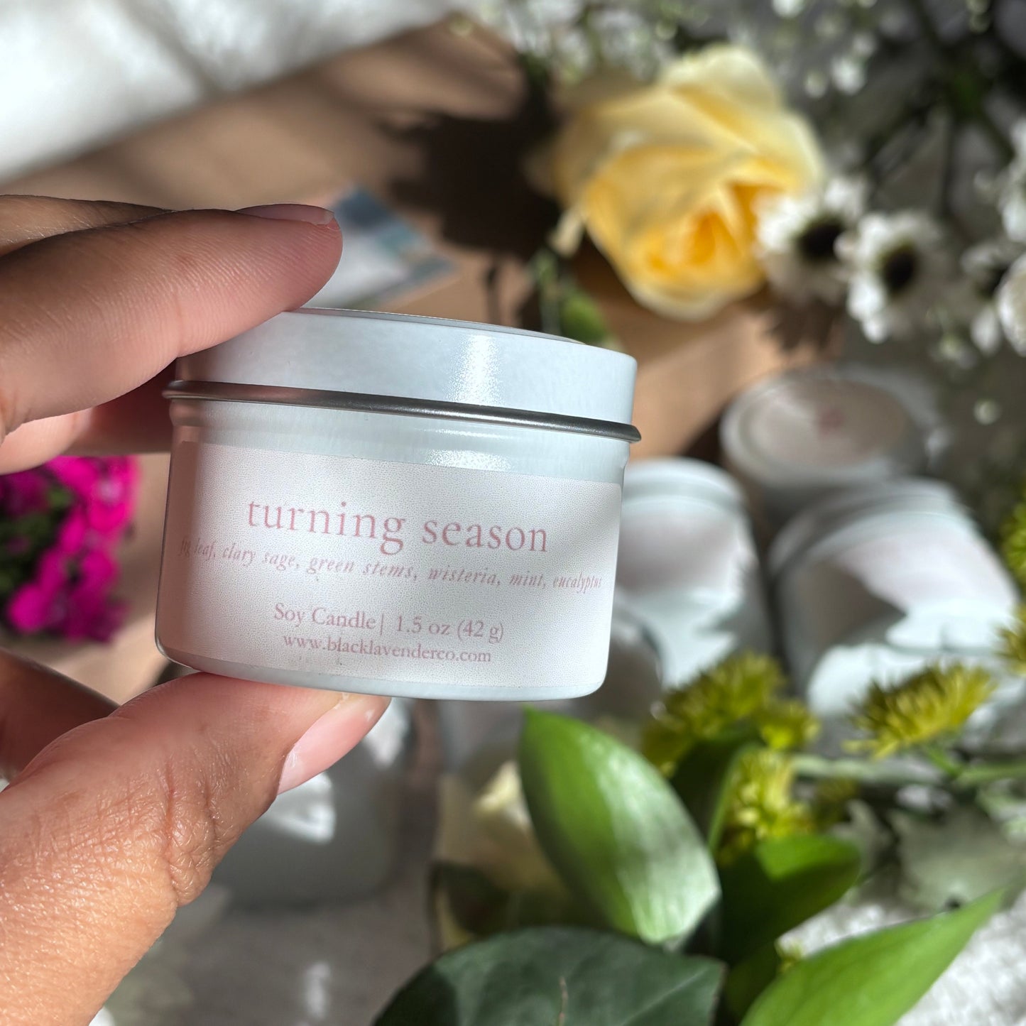 Spring Discovery Box Sampler Set