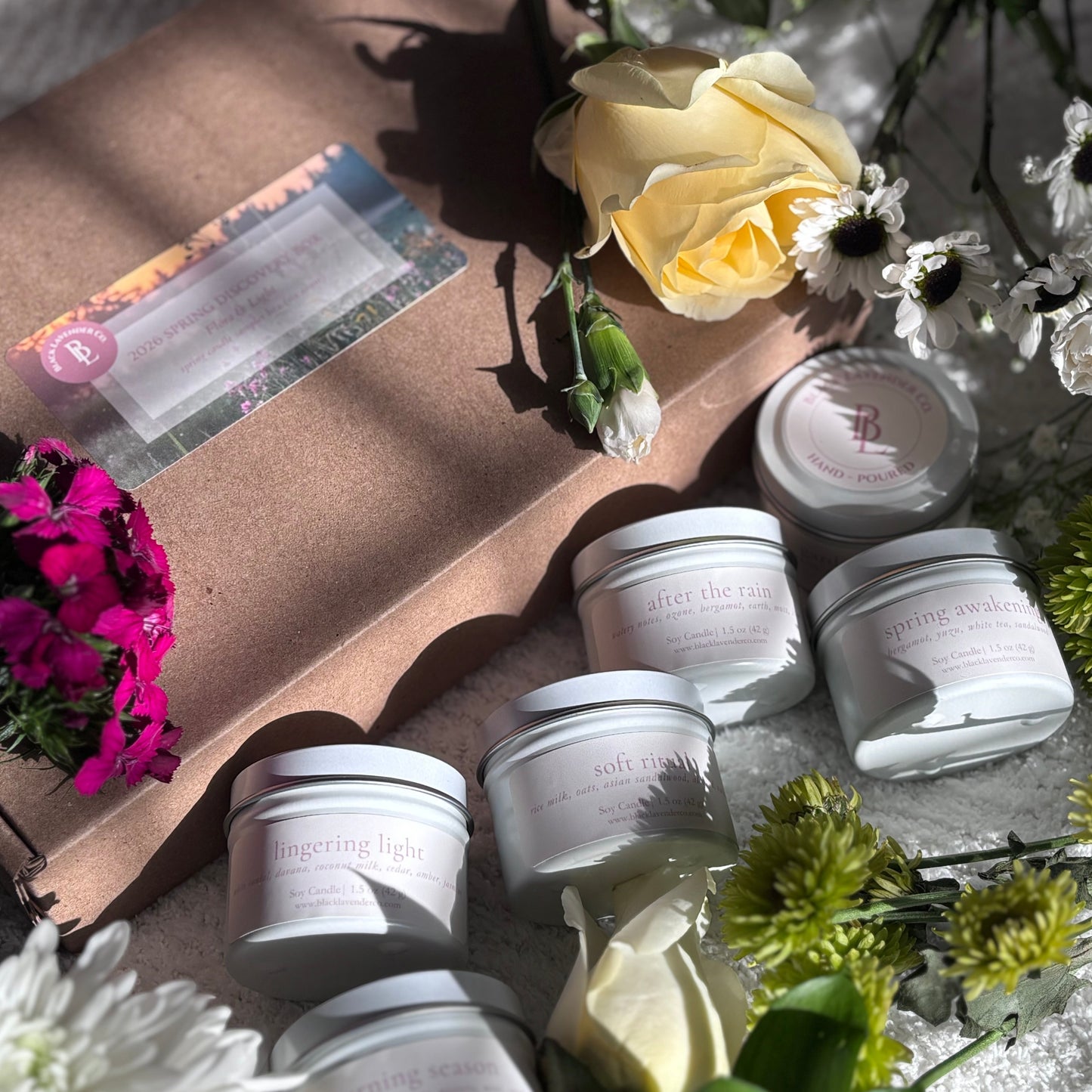 Spring Discovery Box Sampler Set