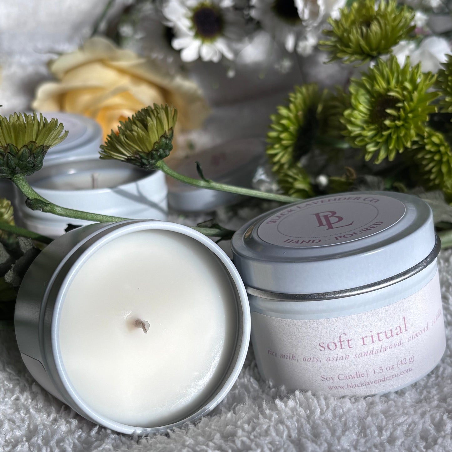 Spring Discovery Box Sampler Set