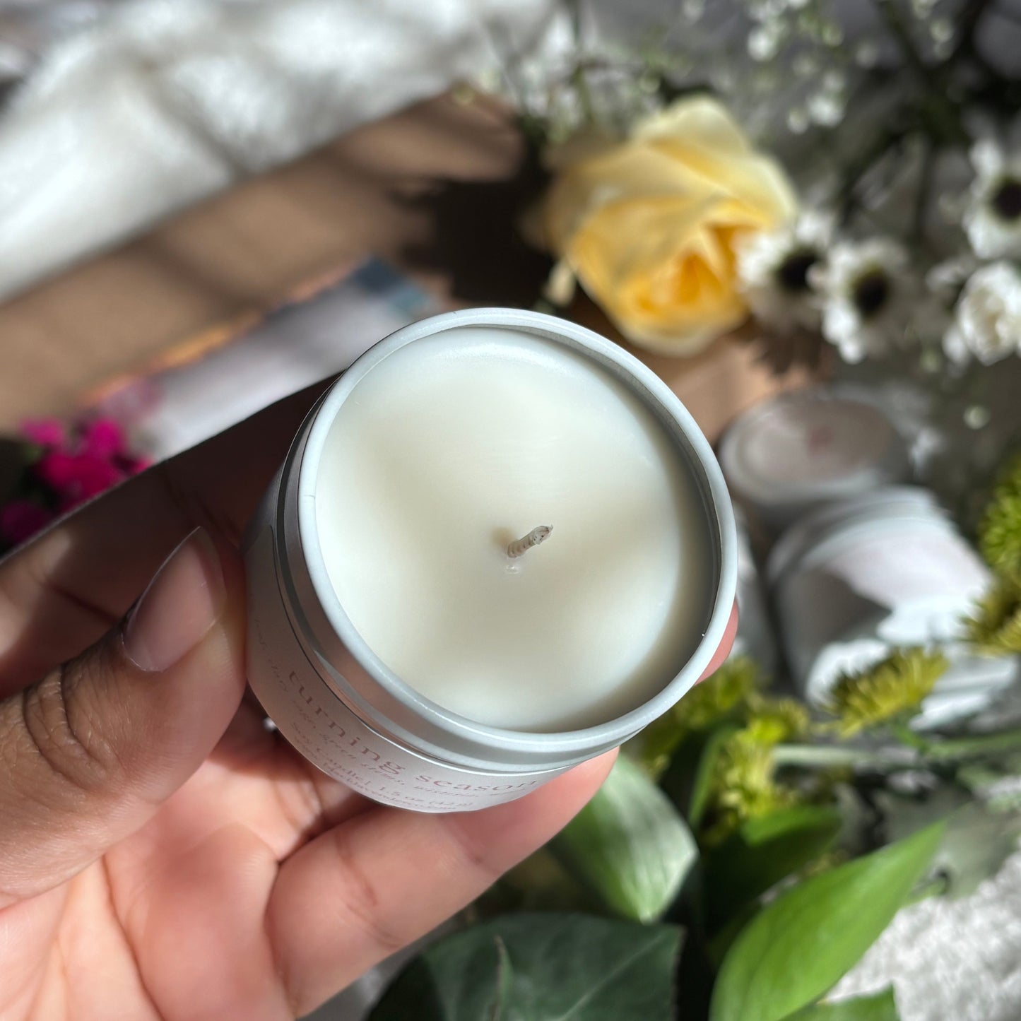 Spring Discovery Box Sampler Set