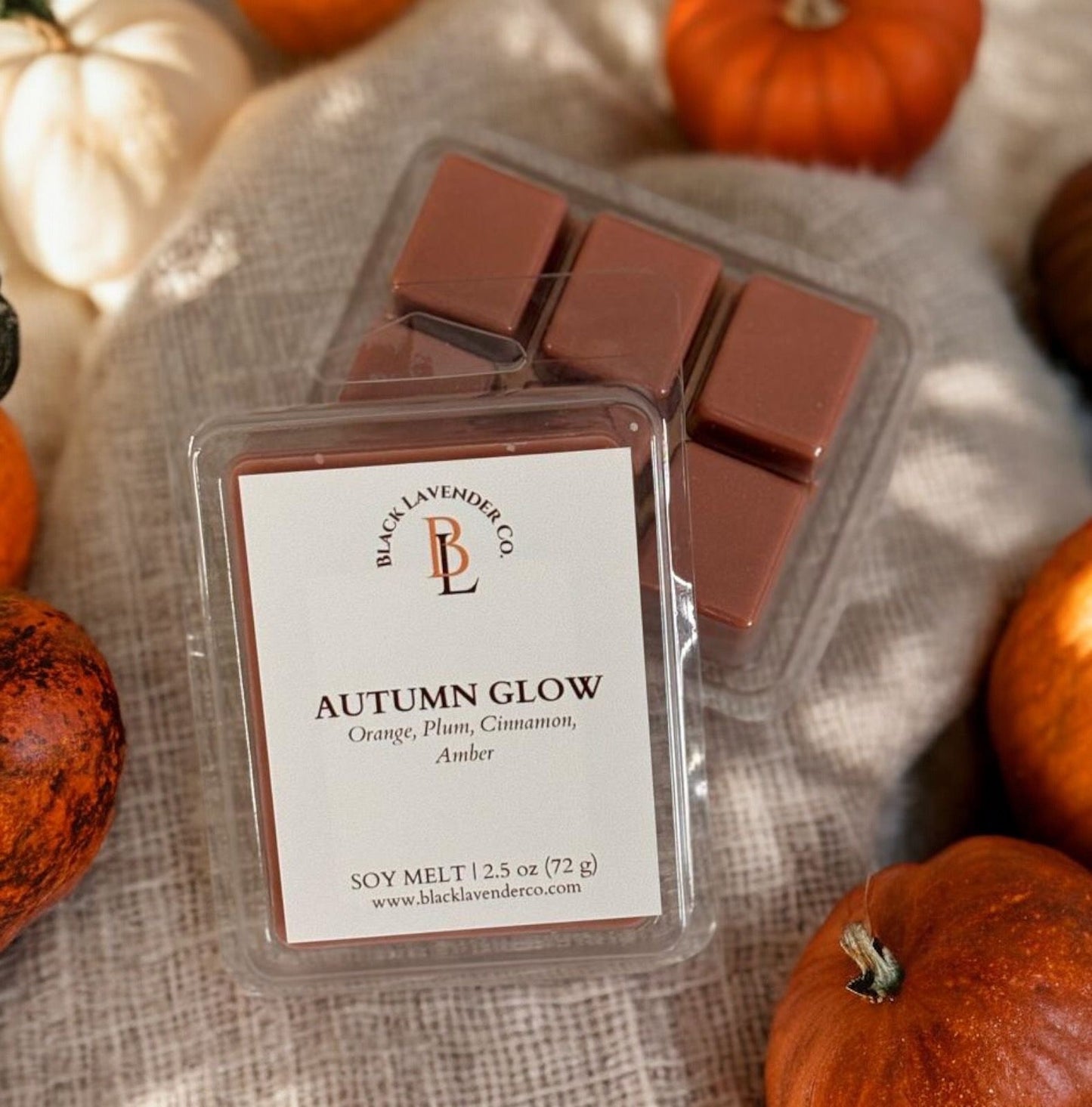 AUTUMN GLOW - Fall Collection