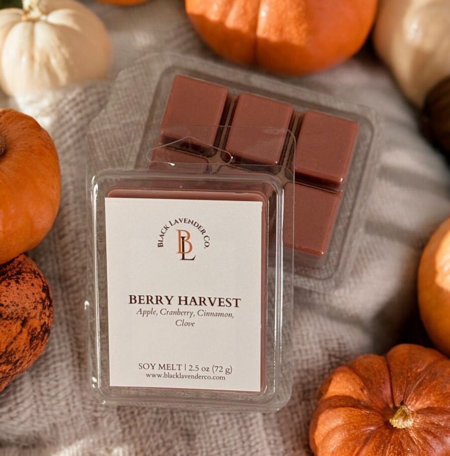 BERRY HARVEST - Fall Collection