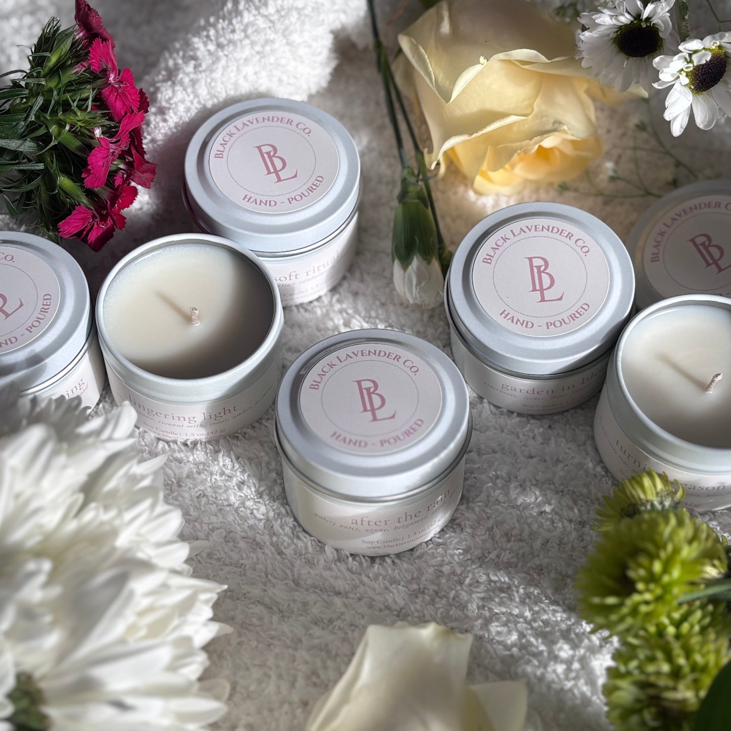 Spring Discovery Box Sampler Set