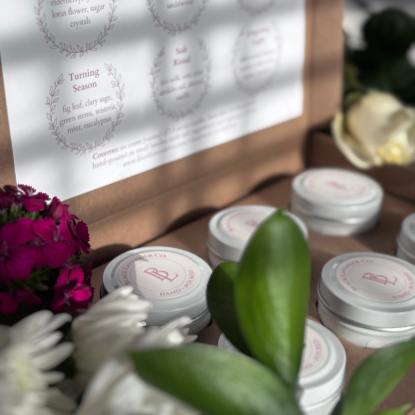 Spring Discovery Box Sampler Set