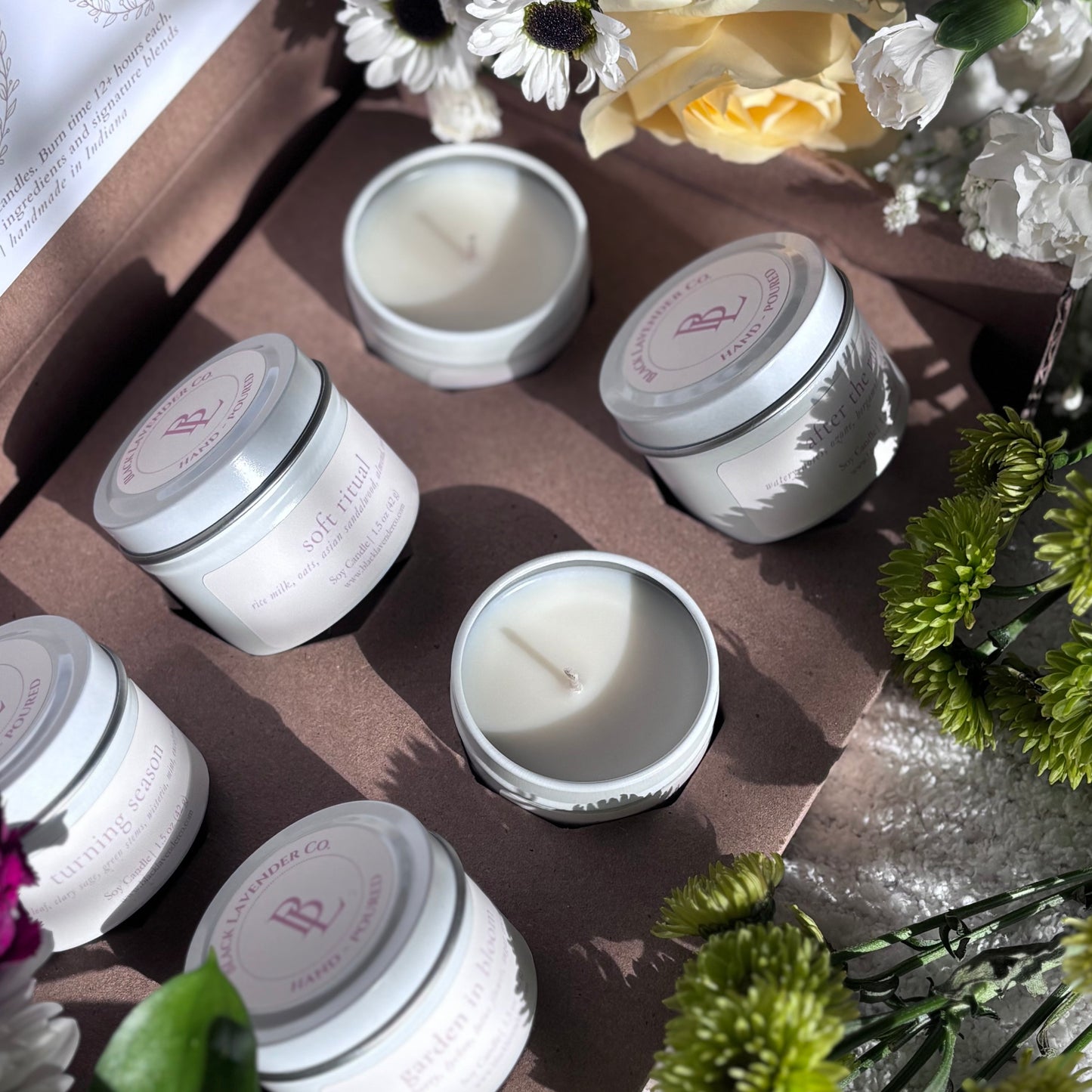 Spring Discovery Box Sampler Set