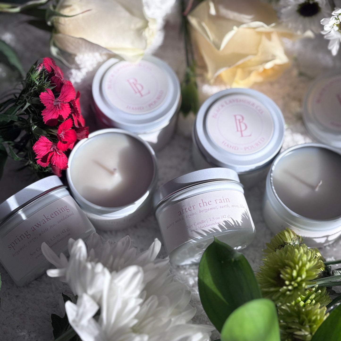 Spring Discovery Box Sampler Set