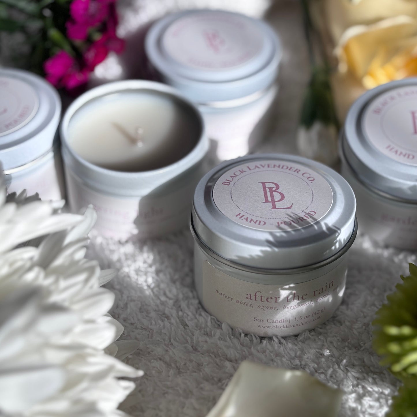 Spring Discovery Box Sampler Set