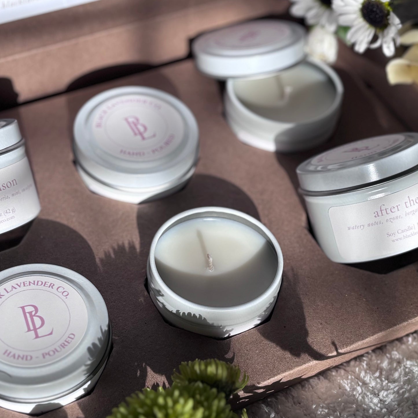 Spring Discovery Box Sampler Set