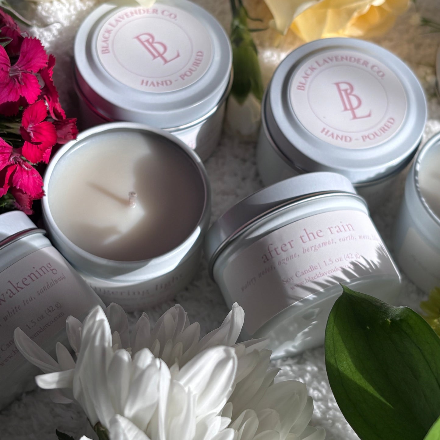 Spring Discovery Box Sampler Set