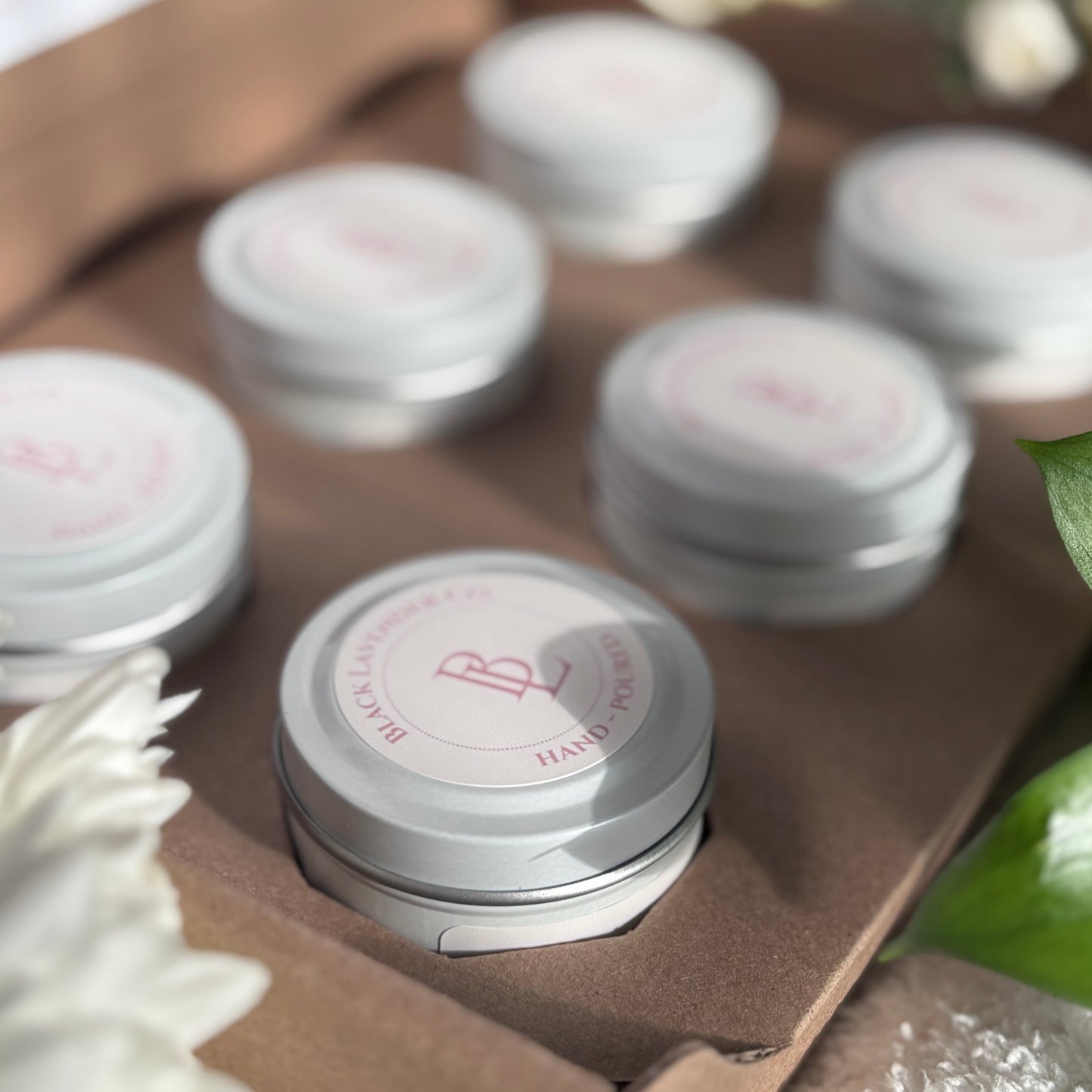 Spring Discovery Box Sampler Set