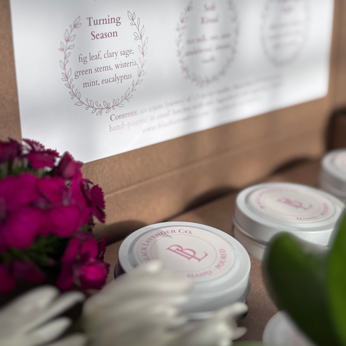 Spring Discovery Box Sampler Set