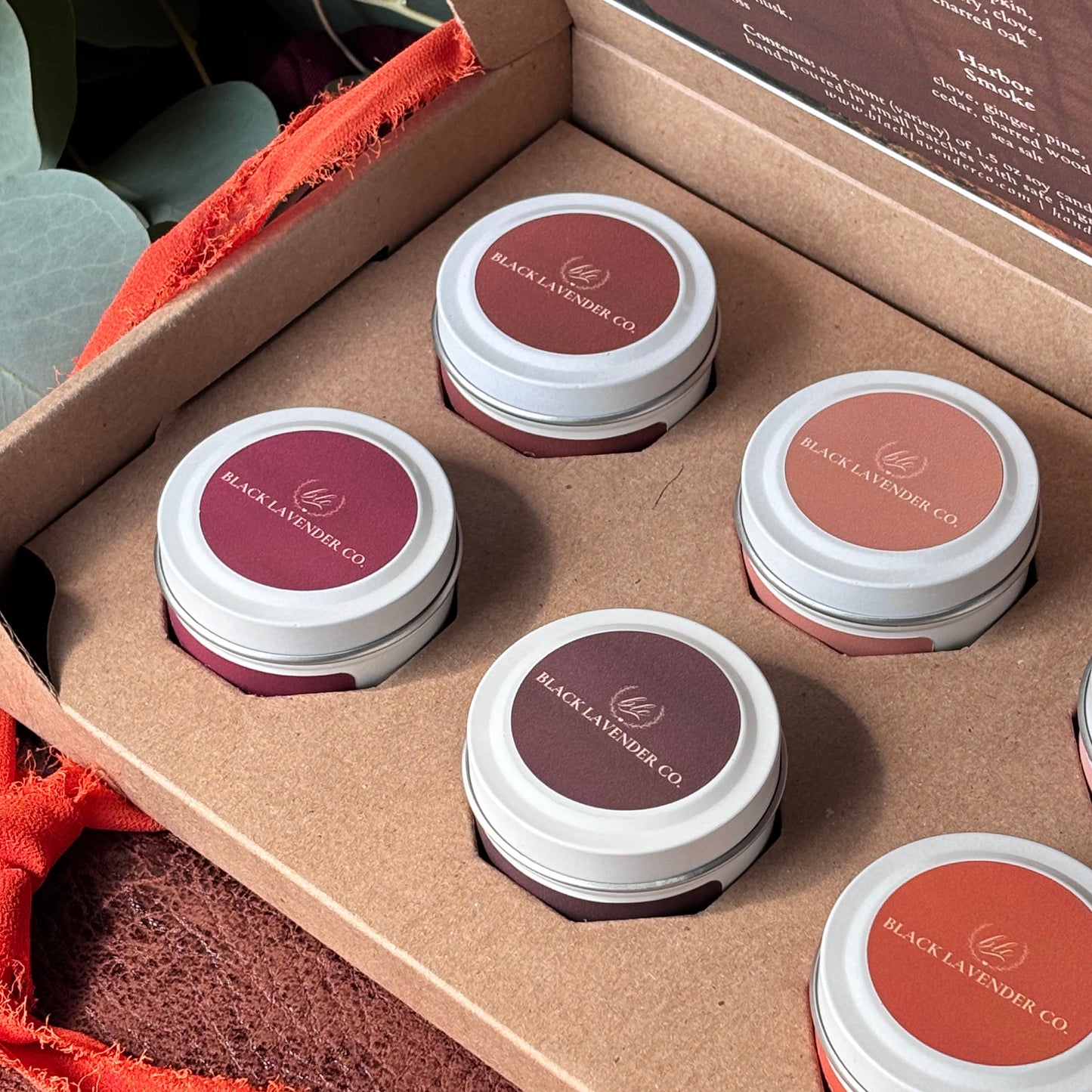Fall Discovery Box