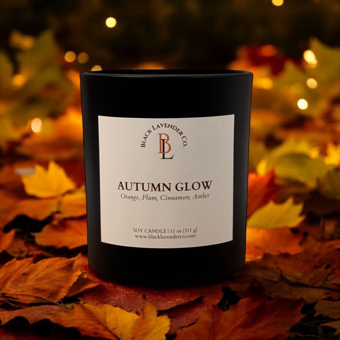 AUTUMN GLOW - Fall Collection